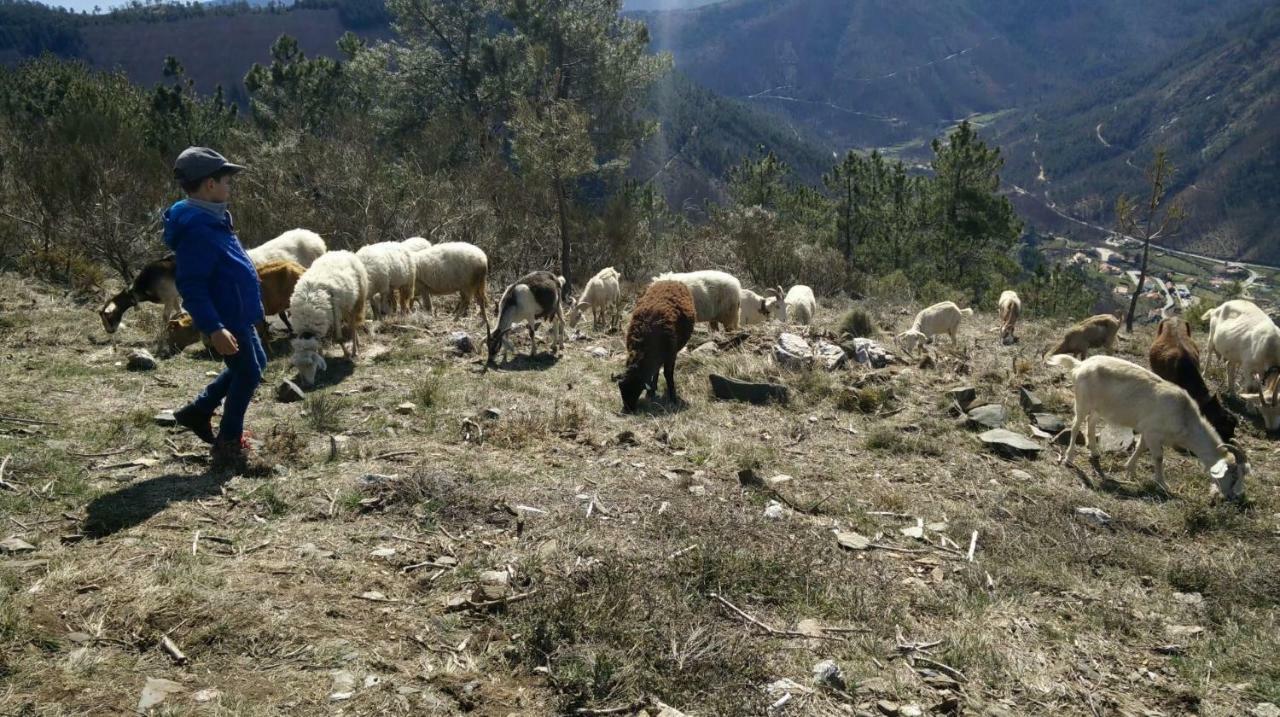 Casa Cerro Da Correia Pension Manteigas Buitenkant foto